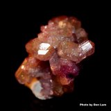 Vesuvianite (var. manganoan vesuvianite)
3.4 x 2.2 cm
(Autor: Don Lum)