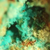 Chrysocolla
FOV 7 mm
(Autor: Firmo Espinar)