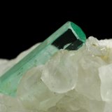 Beryl (variety emerald), Calcite
46x85x20mm, xls=26, 16 &amp; 13mm
(Autor: Fiebre Verde)