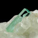 Beryl (variety emerald), Calcite
46x85x20mm, xls=26, 16 &amp; 13mm
(Autor: Fiebre Verde)