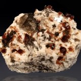 Spessartine, Quartz (variety smoky) and Microcline
58 mm x 52 mm x 30 mm
(Autor: Firmo Espinar)