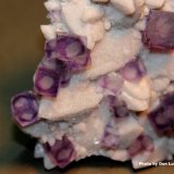 Fluorite, Quartz
9.4 x 8 x 3.3 cm
(Autor: Don Lum)