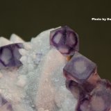 Fluorite, Quartz
9.4 x 8 x 3.3 cm
(Autor: Don Lum)