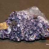 Perovskite, Amesite
6.5 x 4.0 cm
(Autor: Don Lum)