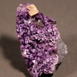 Perovskite, Amesite
6.5 x 4.0 cm
(Autor: Don Lum)