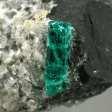 40mm across, xl=15mm
(Autor: Fiebre Verde)