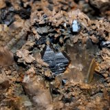 Brookite, Quartz (var smoky)
18.5 x 13 cm
(Autor: Don Lum)
