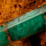 Beryl (variety emerald)
67x42x90mm, xl=69mm
(Autor: Fiebre Verde)