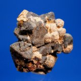Anatase, Kimzeyite, Magnetite
4.0 x 3.5 x 2.0 cm
(Autor: Don Lum)