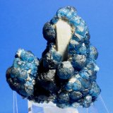 Fluorite, Quartz
7.4 x 7.0 cm
(Autor: Don Lum)