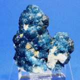 Fluorite, Quartz
7.4 x 7.0 cm
(Autor: Don Lum)