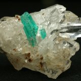 Beryl (variety emerald), Quartz
41x26mm; Intergrown emerald crystals=1cm
(Autor: Fiebre Verde)