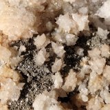Calcite and Pyrite
FOV 46 mm
(Autor: Firmo Espinar)