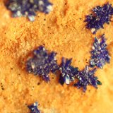 Azurite
FOV 7 mm
(Autor: Firmo Espinar)