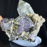 Fluorite with Quartz, Siderite, Ferberite, Pyrite and Mica
4.5x3cm
(Autor: QT.JojoGuo)