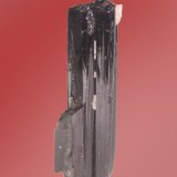 Schorl
20mm x 64mm x 7mm
(Autor: Firmo Espinar)