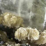 Fluorite with Mica (Group)
4.5x3cm
(Autor: QT.JojoGuo)