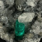Beryl (variety emerald), Calcite
Detail - FOV=2cm
(Autor: Fiebre Verde)