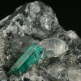 Beryl (variety emerald), Calcite
Detail - FOV=2.5cm
(Autor: Fiebre Verde)