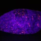 Sodalite
65mm x 35mm x 25mm
(Autor: Firmo Espinar)