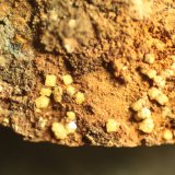Bariopharmacosiderite
FOV = 9 mm
(Autor: Firmo Espinar)