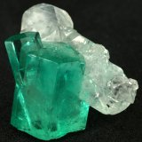 Beryl (variety emerald), Calcite
Main crystal = 13mm
(Autor: Fiebre Verde)