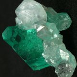 Beryl (variety emerald), Calcite
Main crystal = 13mm
(Autor: Fiebre Verde)