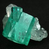 Beryl (variety emerald), Calcite
Main crystal = 13mm
(Autor: Fiebre Verde)