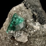 Beryl (variety emerald), Calcite, Dolomite
triangle side=35mm, xl=11mm
(Autor: Fiebre Verde)