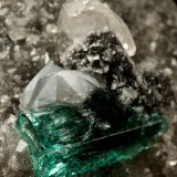 Beryl (variety emerald), Calcite, Dolomite
triangle side=35mm, xl=11mm
(Autor: Fiebre Verde)