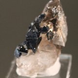 Anatase, Quartz
4.5 x 4.0 cm
(Autor: Don Lum)