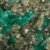 Beryl (variety emerald), Calcite, Pyrite, Albite
Detail - FOV=4cm
(Autor: Fiebre Verde)