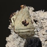 Sphalerite, Chalcopyrite, Tetrahedrite, Quartz
7.0 x 6.6 cm
(Autor: Don Lum)