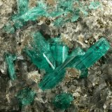 Beryl (variety emerald), Calcite, Pyrite, Albite
Detail - FOV=4cm
(Autor: Fiebre Verde)