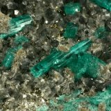 Beryl (variety emerald), Calcite, Pyrite, Albite
Detail - FOV=5cm
(Autor: Fiebre Verde)