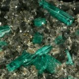 Beryl (variety emerald), Calcite, Pyrite, Albite
Detail - FOV=6cm
(Autor: Fiebre Verde)