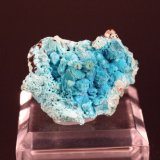 Chrysocolla pseudomorph after Boleite
42mm x 30mm
(Autor: Don Lum)
