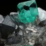 Beryl (variety emerald), Calcite, Pyrite, Quartz
32x21x20mm, xls=7mm (main) &amp; 17mm
(Autor: Fiebre Verde)