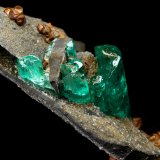 Beryl (variety emerald), Calcite, Pyrite
68 x 50 x 14 mm - main xl fragment 21 mm
(Autor: Fiebre Verde)