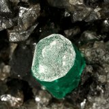 Beryl (variety emerald), Calcite, Pyrite
76x47x45mm, xl=7x5mm
(Autor: Fiebre Verde)