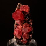 Rhodochrosite
51 mm x 24 mm
(Autor: Don Lum)