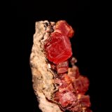 Rhodochrosite
51 mm x 24 mm
(Autor: Don Lum)