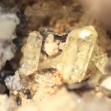 Fluorapatite
FOV 7 mm
(Autor: Firmo Espinar)