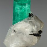 Beryl (variety emerald), Calcite
xl=25x8mm
(Autor: Fiebre Verde)