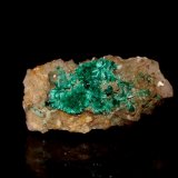 Brochantite, Quartz
55 mm x 26 mm x 23 mm
(Autor: Don Lum)