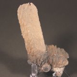 Calcite, Quartz
105 mm x 60 mm x 40 mm
(Autor: Don Lum)