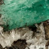 Beryl (variety emerald), Calcite, Parisite, Aragonite(?)
38x40x31mm, xl=15x10mm
(Autor: Fiebre Verde)