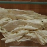 Barite and Chalcopyrite
17 x 11 x 4 cm
(Autor: Firmo Espinar)