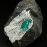 Beryl (variety emerald), Albite (variety cleavelandite)
35x32x20mm, xl=9mm
(Autor: Fiebre Verde)