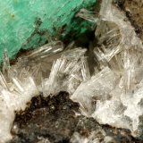 Beryl (variety emerald), Calcite, Parisite, Aragonite(?)
38x40x31mm, xl=15x10mm
(Autor: Fiebre Verde)